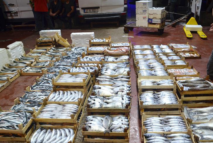 Kocaeli'de balıkçılar sezonun ilk avından döndü G1