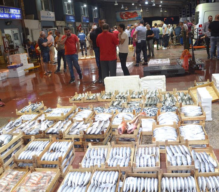 Kocaeli'de balıkçılar sezonun ilk avından döndü G2