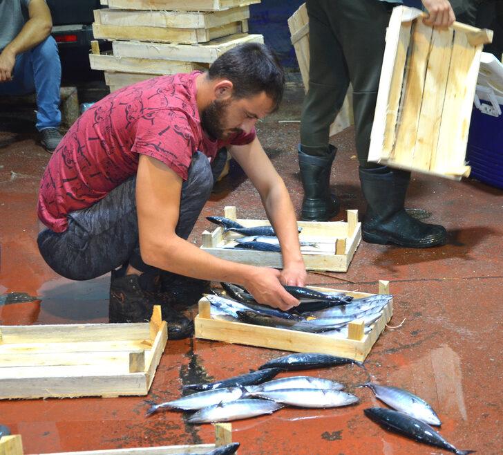 Kocaeli'de balıkçılar sezonun ilk avından döndü G3