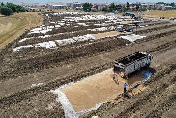 Ağrı'da 60 bin tonla rekor hububat rekoltesi bekleniyor G2