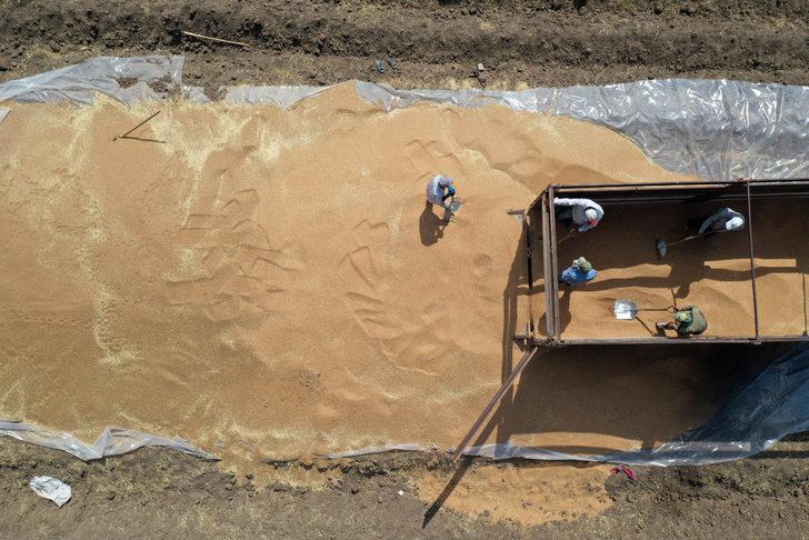 Ağrı'da 60 bin tonla rekor hububat rekoltesi bekleniyor G3