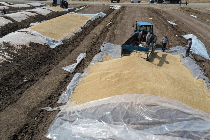 Ağrı'da 60 bin tonla rekor hububat rekoltesi bekleniyor G4