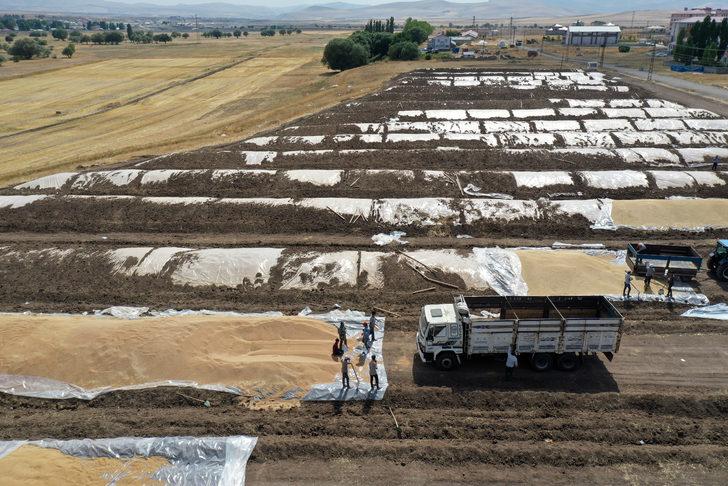 Ağrı'da 60 bin tonla rekor hububat rekoltesi bekleniyor G5