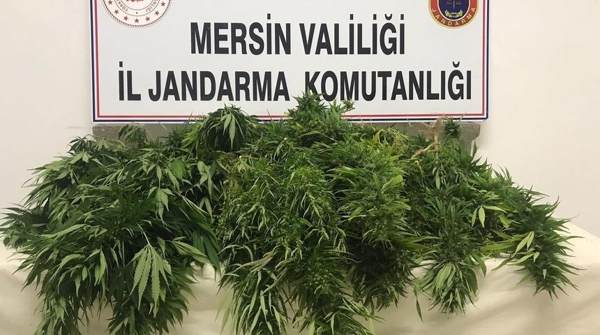 Mersin'de uyuşturucu operasyonunda yakalanan 3 zanlıdan 1'i tutuklandı