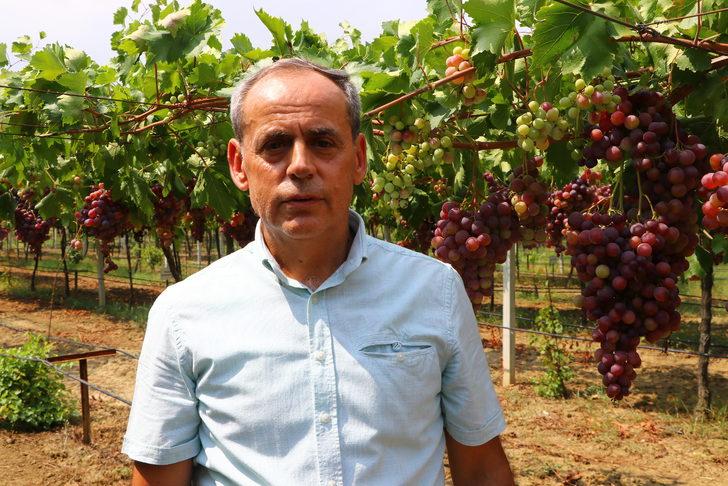 Tekirdağ'ın üzüm bağları, 1 yıl süresince üretimden hasada kadar fotoğraflanacak G3