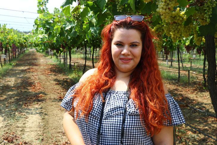 Tekirdağ'ın üzüm bağları, 1 yıl süresince üretimden hasada kadar fotoğraflanacak G5