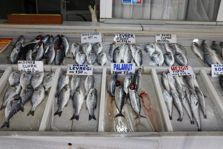 Tekirdağ'da balıkçı tezgahları sezonun ilk palamutlarıyla süslendi G3