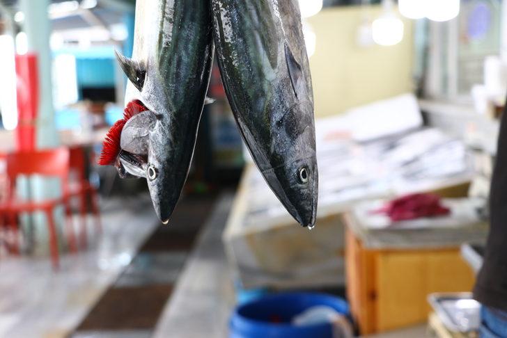 Tekirdağ'da balıkçı tezgahları sezonun ilk palamutlarıyla süslendi G4