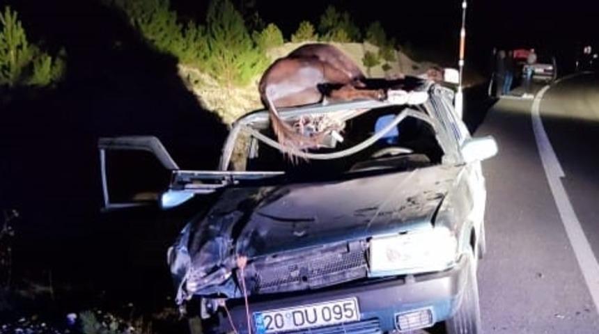 Denizli'de otomobil yola çıkan eşeğe çarptı, bir kişi öldü