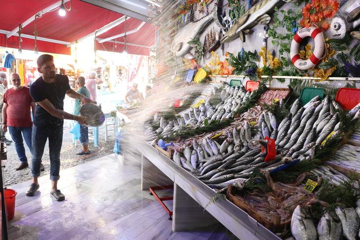Edirne'de balıkçı tezgahları yeni sezonun ilk balıklarıyla çeşitlendi G1