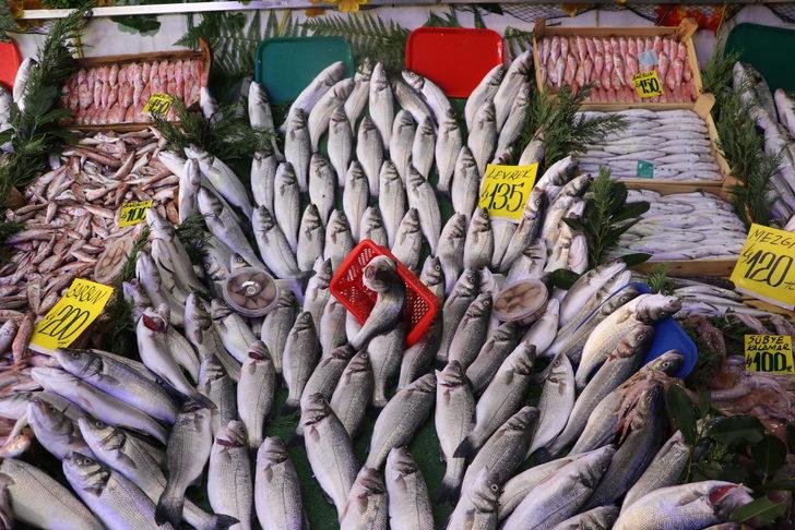 Edirne'de balıkçı tezgahları yeni sezonun ilk balıklarıyla çeşitlendi G2