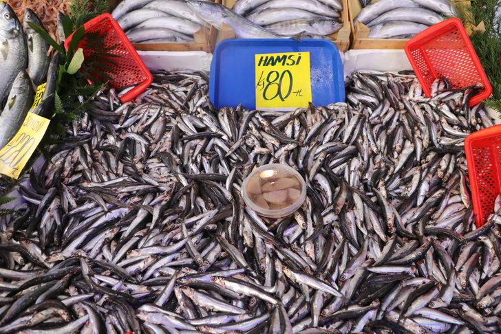 Edirne'de balıkçı tezgahları yeni sezonun ilk balıklarıyla çeşitlendi G3