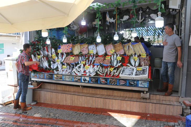 Edirne'de balıkçı tezgahları yeni sezonun ilk balıklarıyla çeşitlendi G5