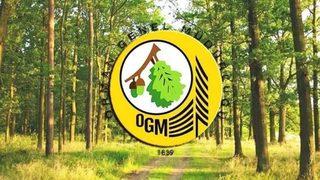 OGM personel alımı başvuru şartları nelerdir? OGM 338 işçi alımı başvuru ekranı