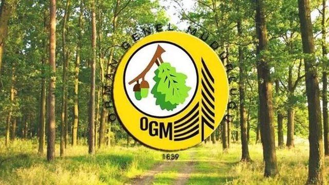 OGM personel alımı başvuru şartları nelerdir? OGM 338 işçi alımı başvuru ekranı