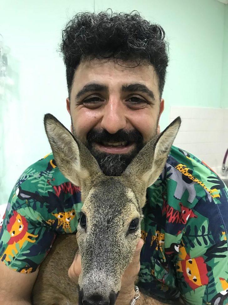 Trabzon'da bacağı kesilen yavru ceylan tedavi ediliyor G3