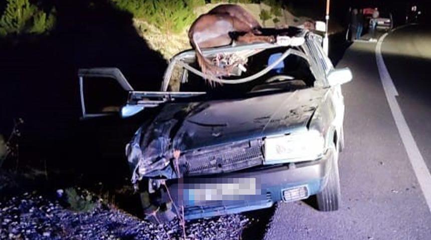 Denizli'de feci kaza! Aracın tavanına düşen eşek, ölümüne neden oldu