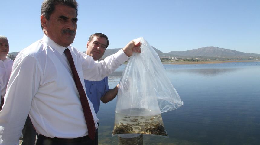 Konya'nın göl ve göletlerine 2 milyon 630 bin sazan yavrusu takviyesi