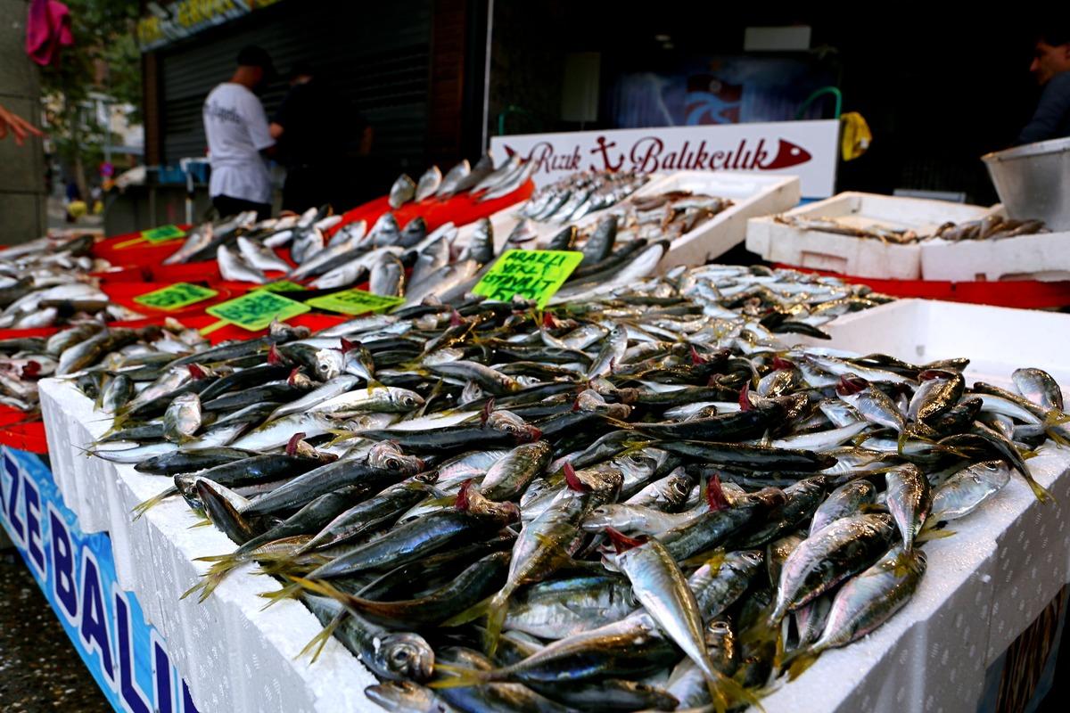 Ordu, Giresun ve Trabzon'da yeni sezonun balıkları tezgahlarda