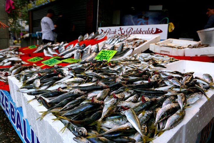 Ordu, Giresun ve Trabzon'da yeni sezonun balıkları tezgahlarda G1