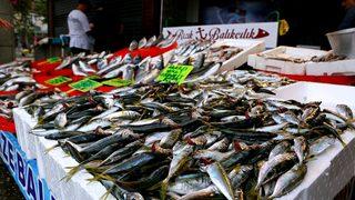 Ordu, Giresun ve Trabzon'da yeni sezonun balıkları tezgahlarda