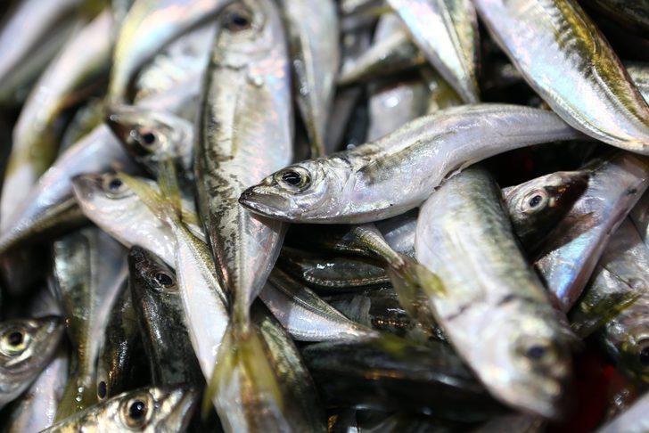 Ordu, Giresun ve Trabzon'da yeni sezonun balıkları tezgahlarda G5