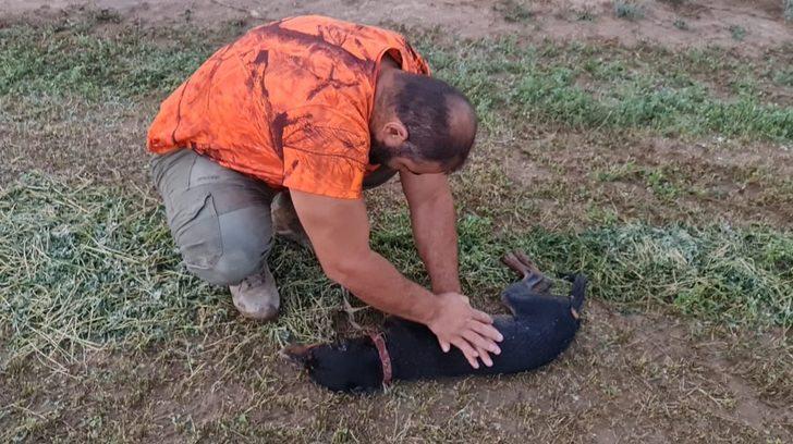Nefessiz kalan köpeğini kalp masajıyla hayata döndürdü
