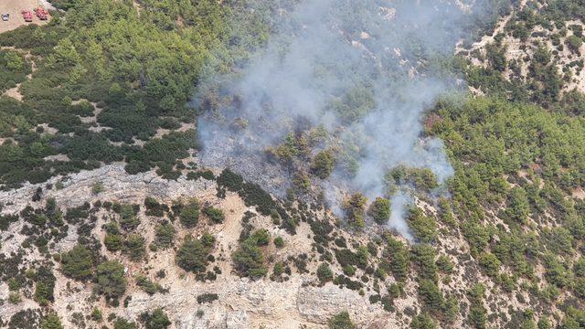 GÜNCELLEME - Manisa'daki orman yangını kontrol altına alındı