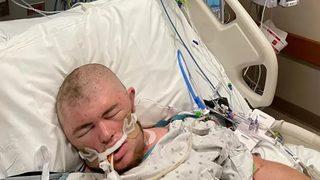 Yanlışlıkla kovanı kesince olanlar oldu! 20.000 kez sokulan adam 30 arıyı da yutunca...