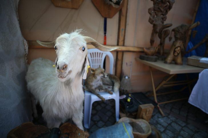 "22. Uluslararası Sındırgı Yağcıbedir Uçan Halı Şenliği" başladı G3