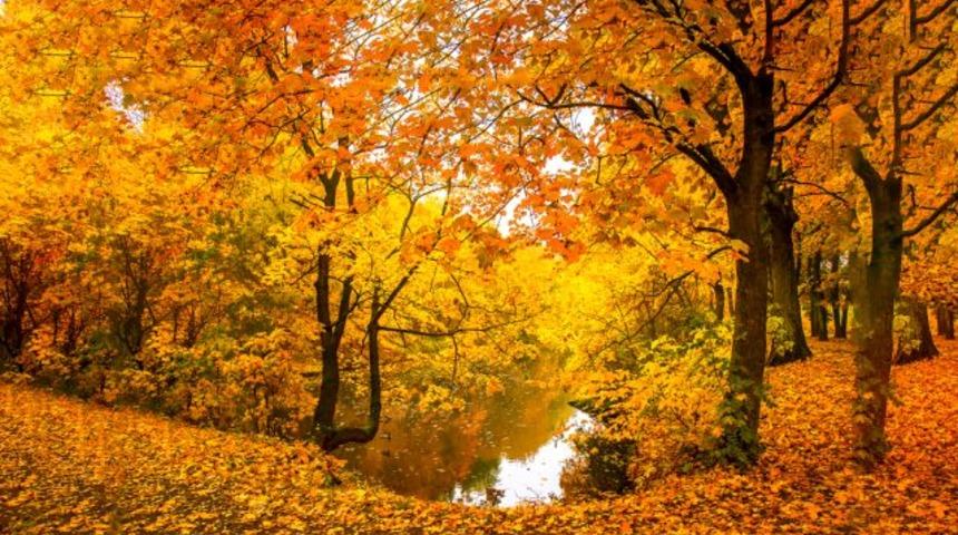 Birbirinden farklı Eylül ayı sözleri! En anlamlı, kısa, uzun Eylül ayı mesajları ve sözleri!