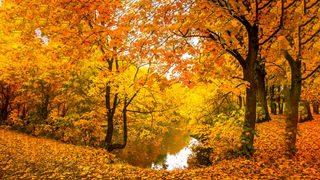Birbirinden farklı Eylül ayı sözleri! En anlamlı, kısa, uzun Eylül ayı mesajları ve sözleri!