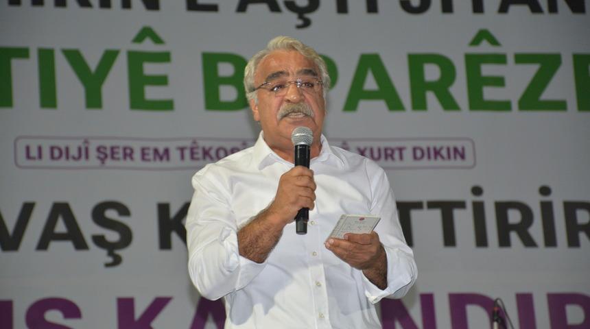HDP Eş Genel Başkanı Sincar, Silopi'de mitinge katıldı
