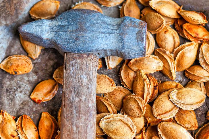 Doğal ağrı kesici, kansersavar, vitamin ve mineral kaynağı... Çöpe attıklarınızı geri almak isteyeceksiniz! G5