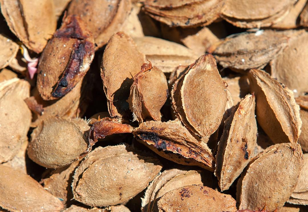 Doğal ağrı kesici, kansersavar, vitamin ve mineral kaynağı... &Ccedil;&ouml;pe attıklarınızı geri almak isteyeceksiniz!