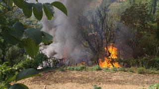 Adana'da çıkan orman yangını kontrol altına alındı