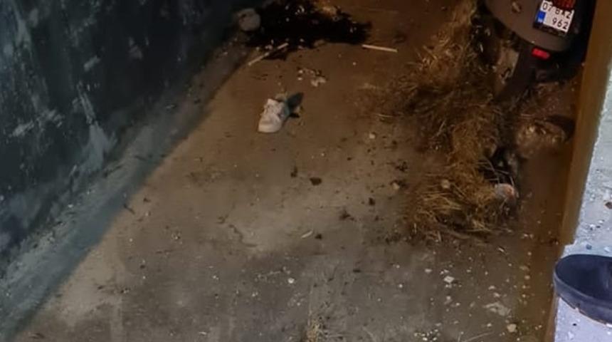 Antalya'da sulama kanalına devrilen motosikletin sürücüsü öldü