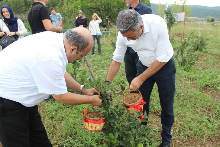 Bilecik'te tarımda alternatif ürün aronyanın hasadı yapıldı G1