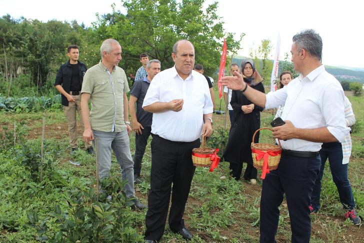 Bilecik'te tarımda alternatif ürün aronyanın hasadı yapıldı G2