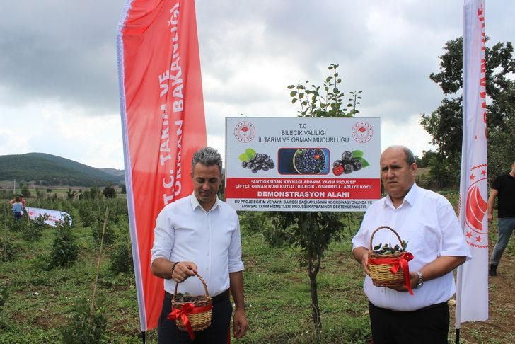 Bilecik'te tarımda alternatif ürün aronyanın hasadı yapıldı G4