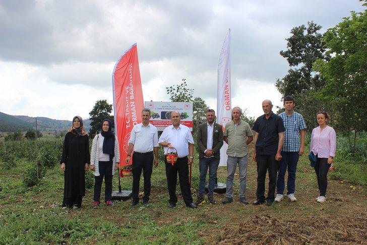 Bilecik'te tarımda alternatif ürün aronyanın hasadı yapıldı G5