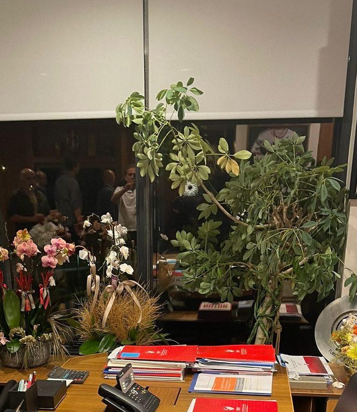 TFF saldırısında kan donduran detay! Domates bahçesinden çıkanlar şoke etti G4