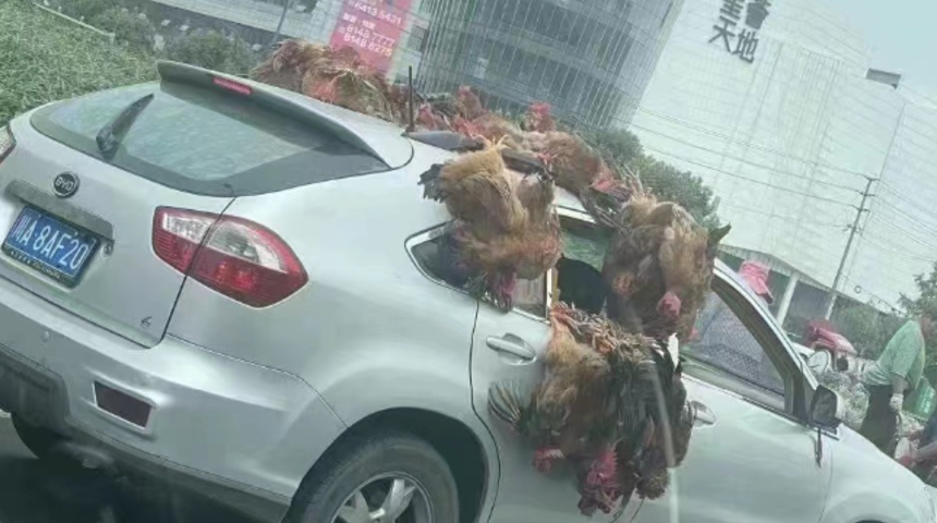 Çin'den akılalmaz görüntüler! Milyonlarca kişi karantinaya girecek... Marketlere hücum ettiler