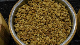 Yüzyıllardır şifa kaynağı! Egzamanın kökünü kurutur, iltihabın ve kanserin düşmanı, antioksidan kaynağı