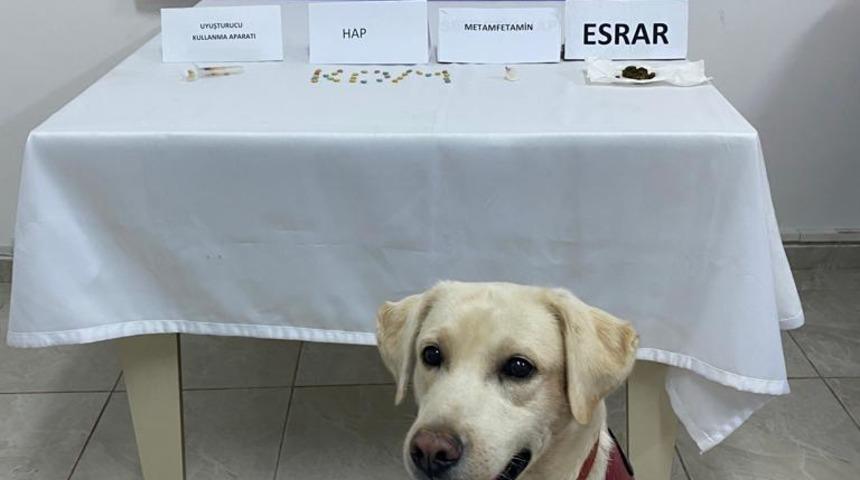 Alanya'da uyuşturucu bulunan araçtaki 4 kişi gözaltına alındı