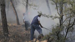 GÜNCELLEME - Hatay'da ormanlık alanda çıkan yangın kontrol altına alındı