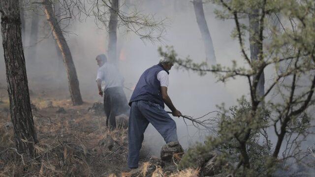 GÜNCELLEME - Hatay'da ormanlık alanda çıkan yangın kontrol altına alındı