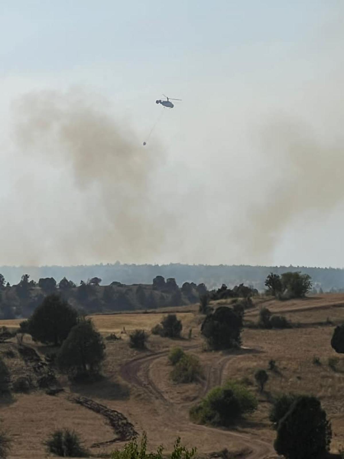 G&Uuml;NCELLEME - Erzincan'da ormanlık alanda &ccedil;ıkan yangın s&ouml;nd&uuml;r&uuml;ld&uuml;