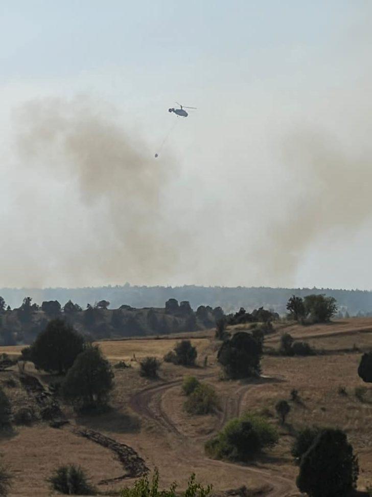 GÜNCELLEME - Erzincan'da ormanlık alanda çıkan yangın söndürüldü G1