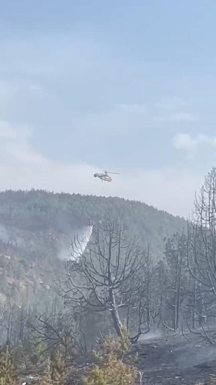 GÜNCELLEME - Erzincan'da ormanlık alanda çıkan yangın söndürüldü G2